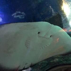 Meet your Posher, Leslie